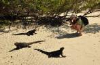 Fotografando iguanas na Playa Mansa de Tortuga Bay, na Ilha de Santa Cruz, em Galápagos